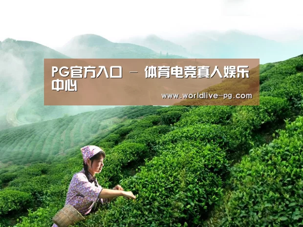 PG官方入口 - 体育电竞真人娱乐中心