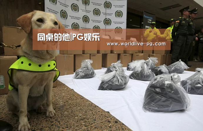 同桌的他|PG娱乐(图1) PG登录