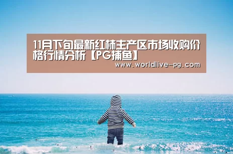 11月下旬最新红柿主产区市场收购价格行情分析【PG捕鱼】(图1) PG捕鱼
