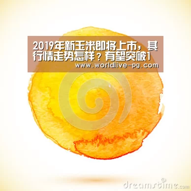 2019年新玉米即将上市,其行情走势怎样?有望突破1元吗?|PG登录(图1) PG篮球
