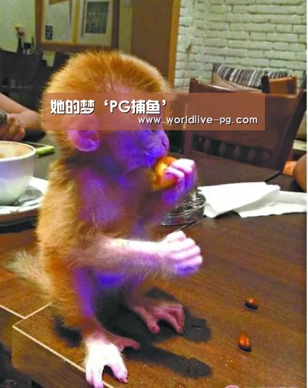 她的梦‘PG捕鱼’(图2) PG捕鱼