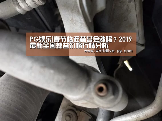 PG娱乐|春节临近蒜苔会涨吗?2019最新全国蒜苔价格行情分析(图4) PG登录