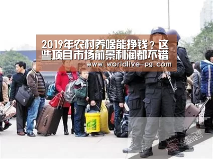 2019年农村养啥能挣钱?这些项目市场前景利润都不错!‘PG娱乐’(图4) PG登录