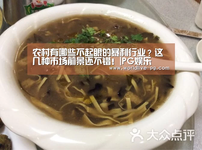 农村有哪些不起眼的暴利行业?这几种市场前景还不错!|PG娱乐(图1) PG娱乐