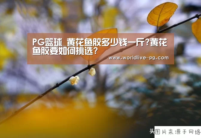 PG娱乐