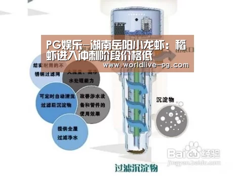 PG娱乐-湖南岳阳小龙虾:稻虾进入冲刺阶段价格低(图1) PG捕鱼