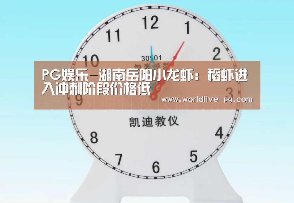 PG娱乐-湖南岳阳小龙虾:稻虾进入冲刺阶段价格低(图3) PG篮球