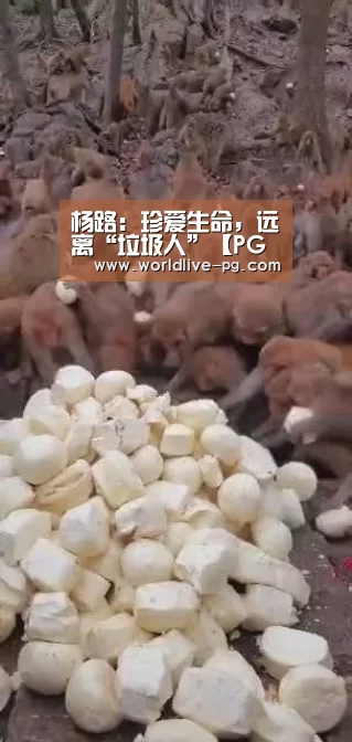 杨路:珍爱生命,远离“垃圾人”【PG登录】(图1) PG捕鱼