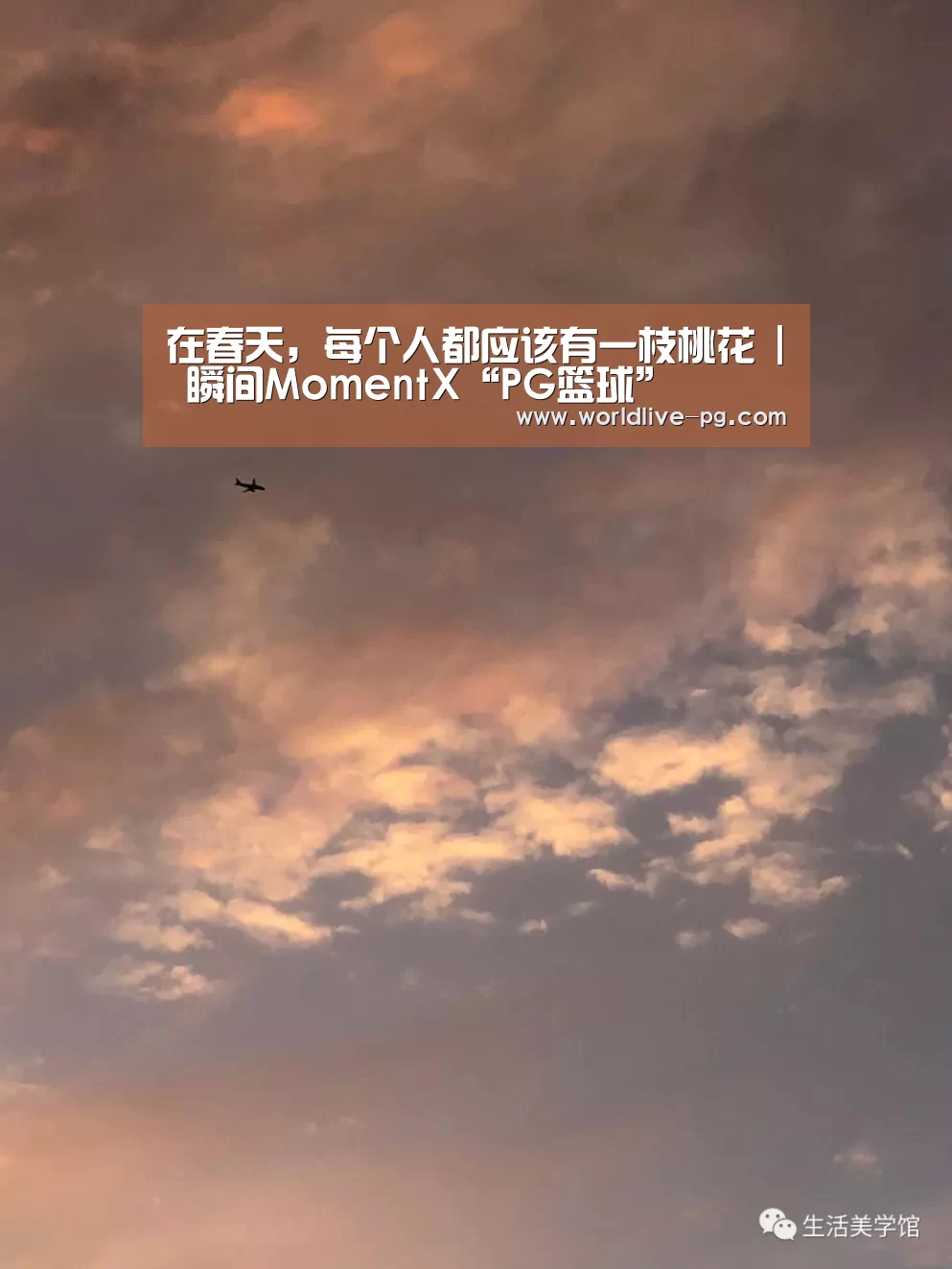在春天,每个人都应该有一枝桃花 | 瞬间MomentX“PG篮球”(图2) PG捕鱼